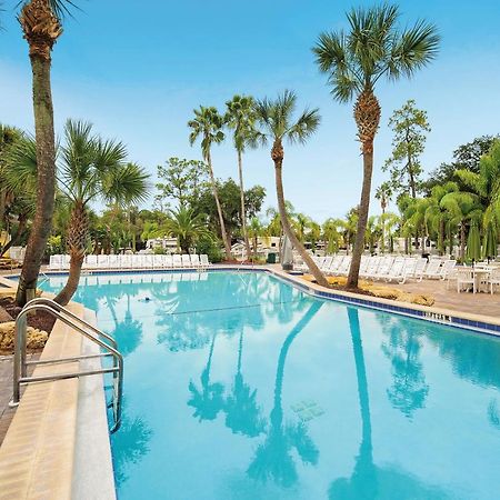 Tropical Palms Resort Celebration Exterior foto